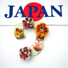 Load image into Gallery viewer, 5pcs Creative Refrigerator Magnets, Japan handmade