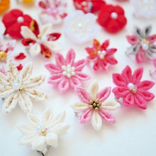 Load image into Gallery viewer, 2pcs brooches, accessory, Japan Handmade, fashion accessories