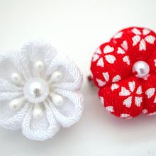 Load image into Gallery viewer, 2pcs brooches, accessory, Japan Handmade, fashion accessories