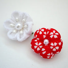 Load image into Gallery viewer, 2pcs brooches, accessory, Japan Handmade, fashion accessories