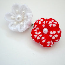 Load image into Gallery viewer, 2pcs brooches, accessory, Japan Handmade, fashion accessories