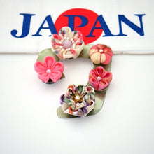 Load image into Gallery viewer, 5pcs Creative Refrigerator Magnet, Japan handmade, handcrafted